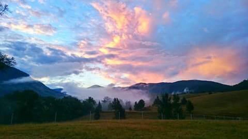 Morning mist over the river flats